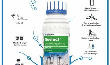 Corteva Agriscience® launches Novlect™, bringing farmers a new herbicide to control weed in rice fields
