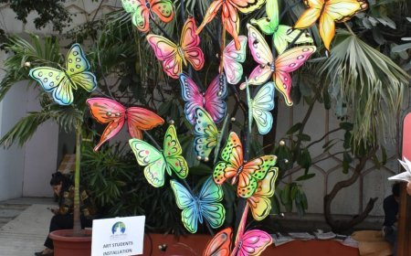ART INSTALLATIONS BY STUDENTS STAND OUT AT JLF 2024